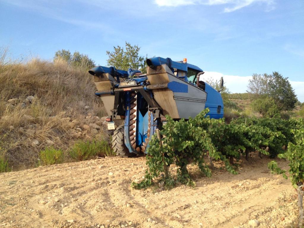 Arianella Holiday Home Penedes Torrellas de Foix Bagian luar foto