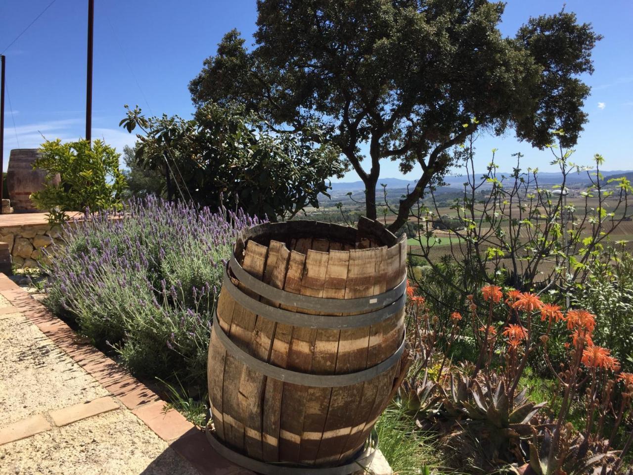 Arianella Holiday Home Penedes Torrellas de Foix Bagian luar foto